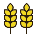 trigo icon