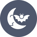 fase lunar icon