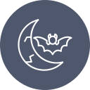 fase lunar icon