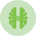 cerebro icon