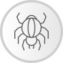 araña