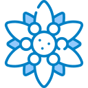 edelweiss icon