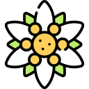 edelweiss icon