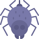 araña icon