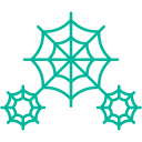 Spider web 