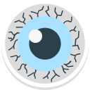 ojos icon