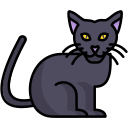 gato icon