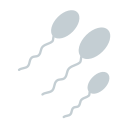 Sperm 