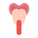Tongue 