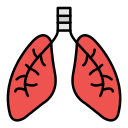 pulmones