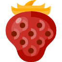 fresa icon