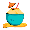 agua de coco icon