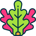 lechuga icon