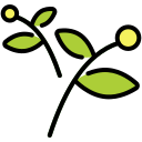 Herbal icon
