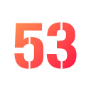 53