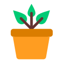 planta icon