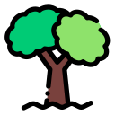 Árbol