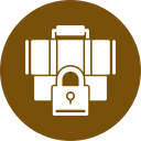 seguridad icon