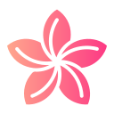 plumeria icon