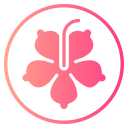 hibisco icon