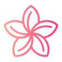 plumeria icon