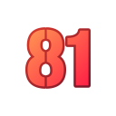 81