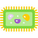 bacterias icon