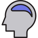 cerebro icon