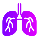 pulmones icon