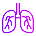 pulmones