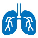 pulmones icon