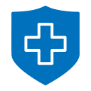 seguridad icon