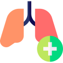 pulmones icon