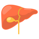 hígado icon