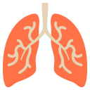pulmones icon