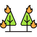 incendio forestal