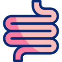 intestino icon