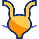 vejiga icon