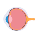 ojo icon