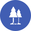 bosque icon