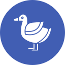 pato icon