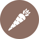 zanahorias icon