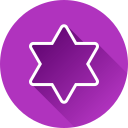 estrella icon