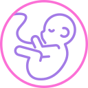 obstetricia icon