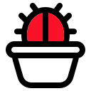 cactus icon