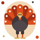 pavo icon