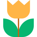 fleur