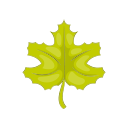 naturaleza icon