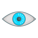 ojo icon