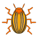 insecto icon